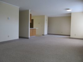 Living room and dining area